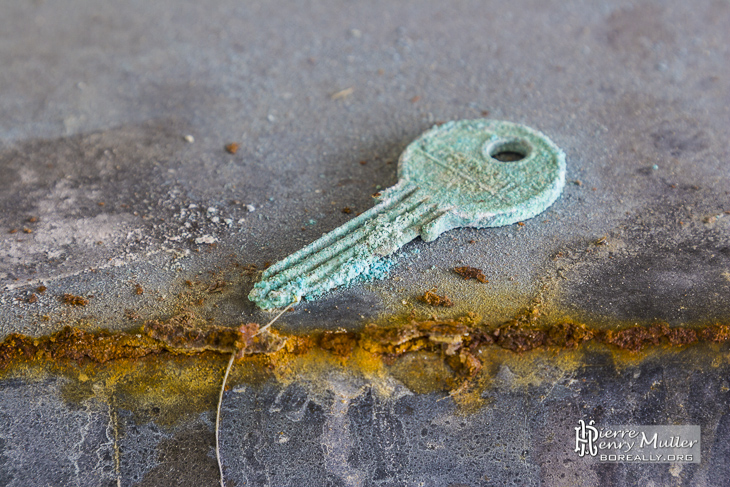 Wasteland Enfance-Avenir-Social Key Rust