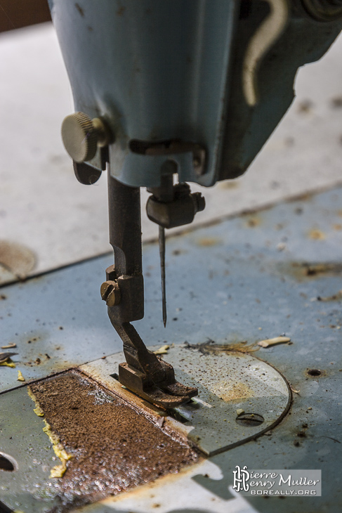Wasteland Enfance-Avenir-Social Sewing Machine Singer