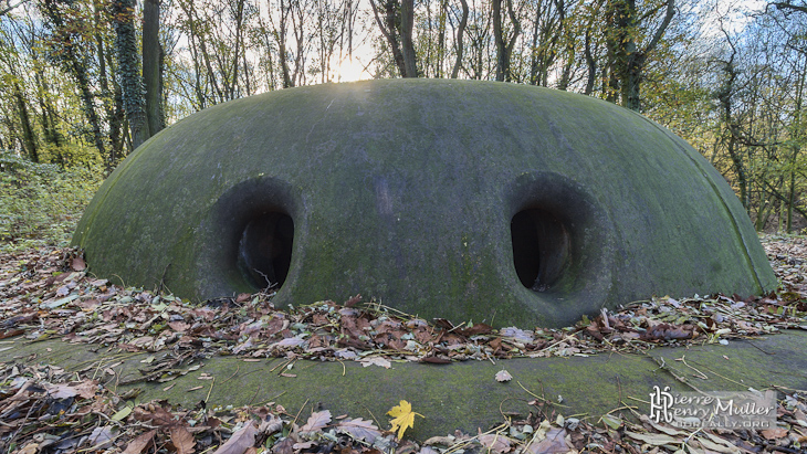 Fort Militaire Domont S&eacute;r&eacute;-Rivi&egrave;re Tourelle Cuirasse Canon Vert