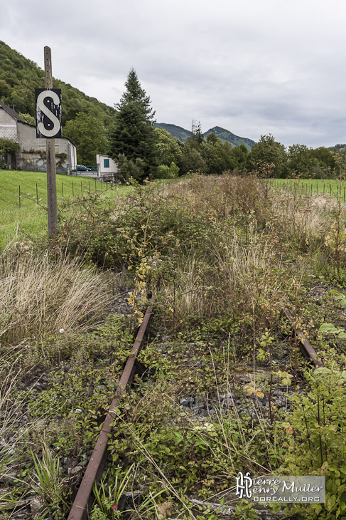 Friche Pau Canfranc HDR Train Abandonn&eacute; Sapin Vert