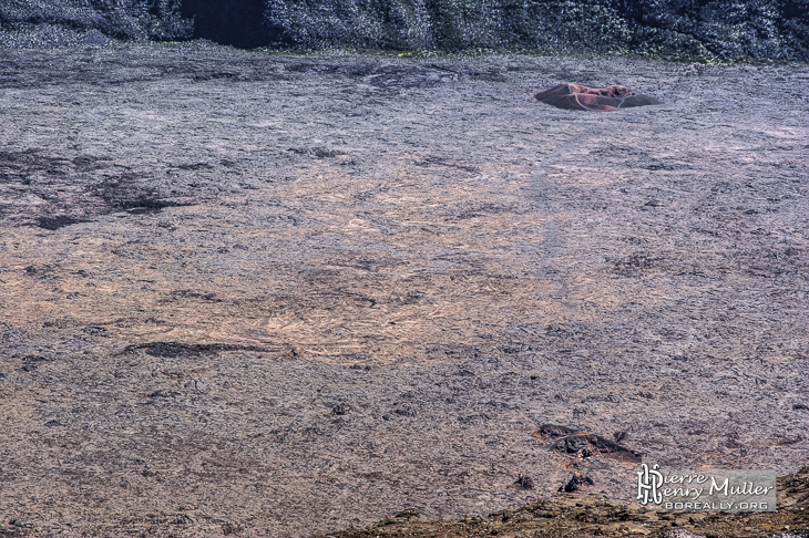 Tourisme Ile R&eacute;union Piton-Fournaise Formica-L&eacute;o Enclos-Fouqu&eacute; Pas-Bellecombe Lave