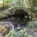 Pont en pierre au dessus d'une rivière de la forêt de Rambouillet