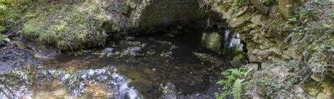 ...Pont en pierre au dessus d’une rivière de la forêt de Rambouillet...