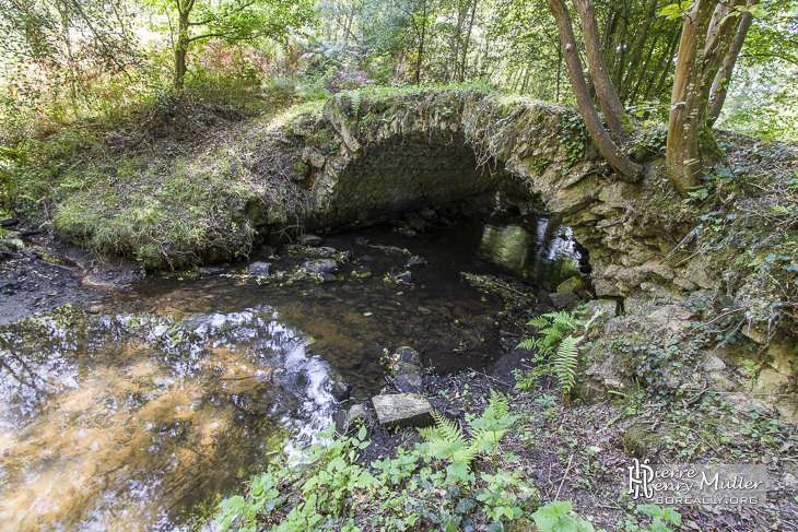 Pont en pierre au dessus d'une rivière de la forêt de Rambouillet