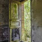 Porte moisie d'une maison abandonnée en forêt