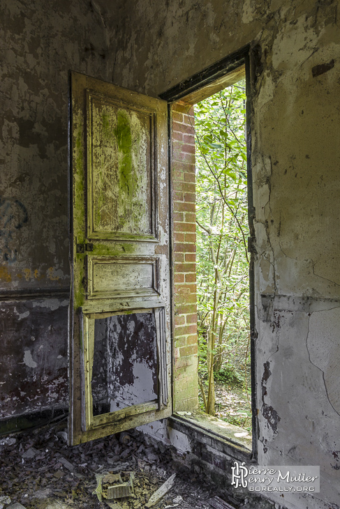 Porte moisie d'une maison abandonnée en forêt