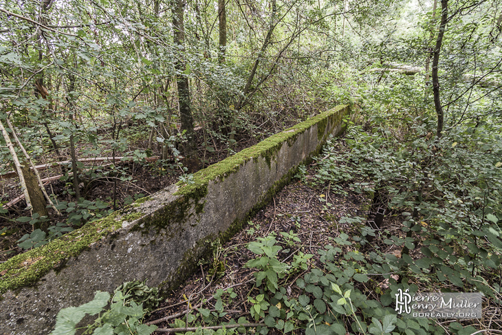 Ligne d'essai de Gometz-la-Ville en pleine végétation