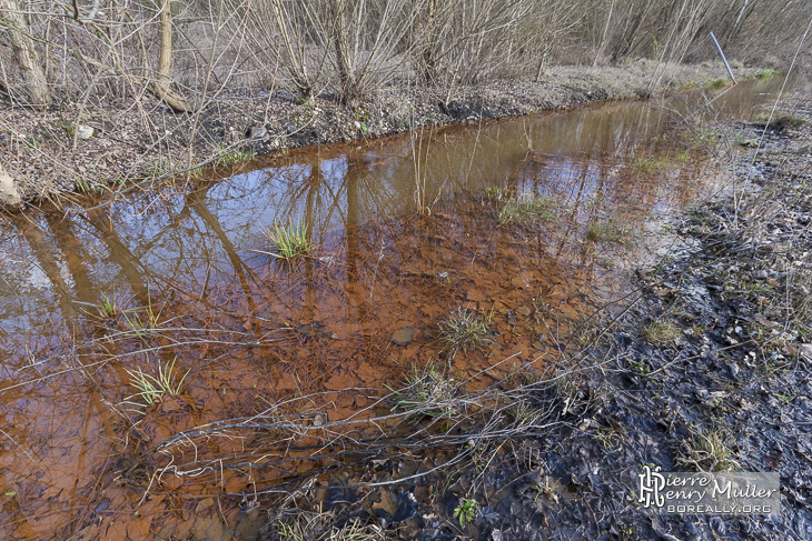 Pollution de l'eau sur le site du lavoir à charbon à Blayes-les-Mines / Carmaux