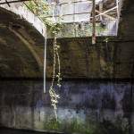 Ouverture entre le souterrain et le rez de chaussée avec végétation