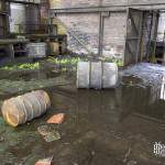 Ateliers inondés et tapis végétal à la mine de charbon de Cheratte