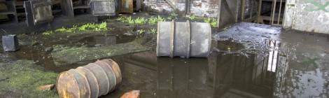 ...Ateliers inondés et tapis végétal à la mine de charbon de Cheratte...