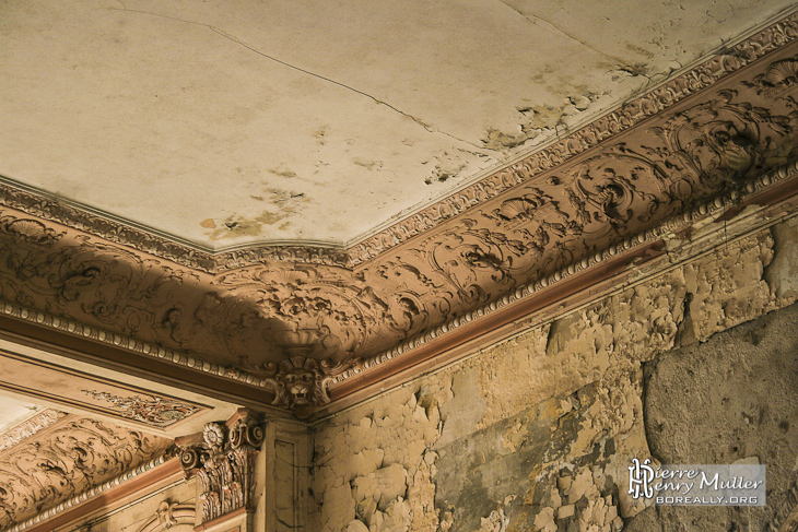 Détails des moulures au plafond dans les pièces principales du château de Bonnelles