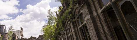 ...Ailes du château de Mesen reprises par la végétation...