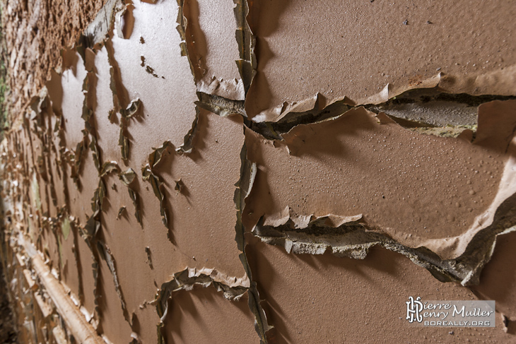 Peinture écaillée sur un mur du château Noisy Miranda