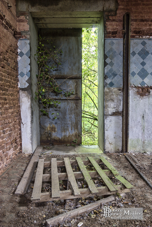 Porte des écuries donnant sur la forêt en TTHDR