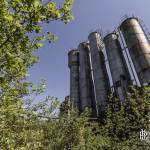 Silos repris par la végétation à la cokerie Anderlues