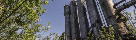 ...Silos repris par la végétation à la cokerie Anderlues....