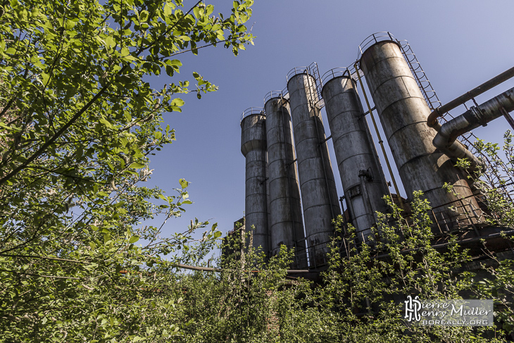 Silos repris par la végétation à la cokerie Anderlues