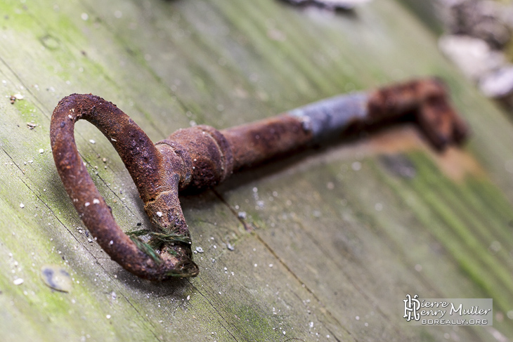Clef rouillée sur panneau de bois
