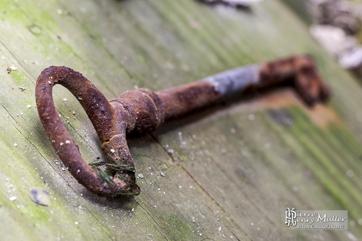 Clef rouillée sur panneau de bois