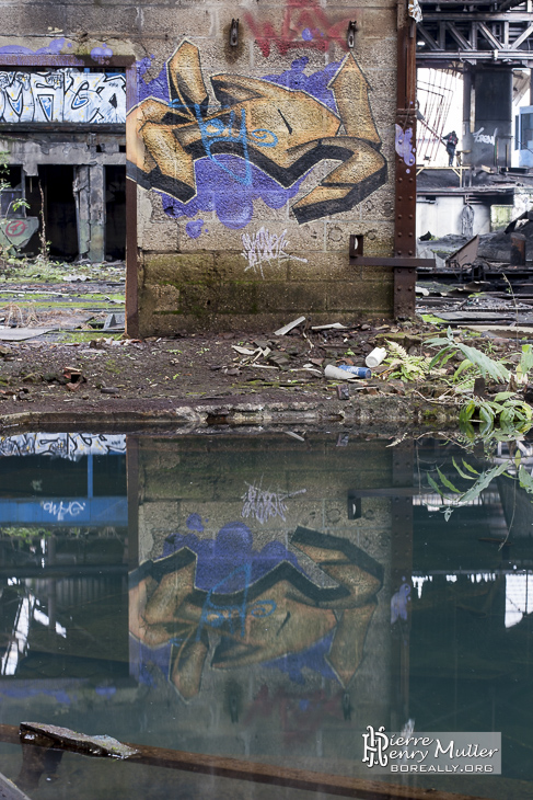Reflet d'un graph sur le bassin de la friche