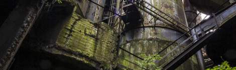 ...Jungle végétale et industrielle à la forge de Clabecq....
