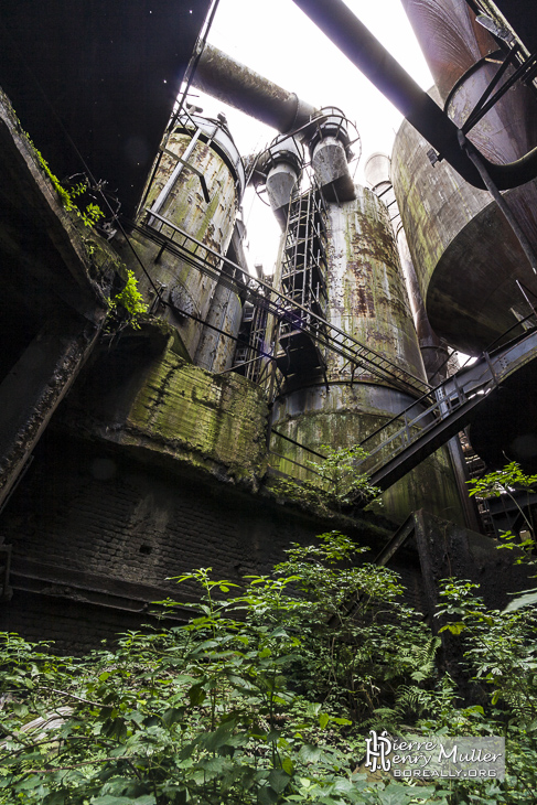 Jungle végétale et industrielle à la forge de Clabecq