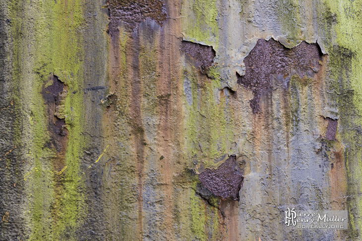 Texture peinture délavée et rouille