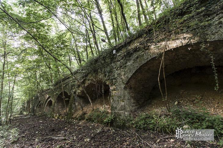 Douves de la première enceinte du Fort du Haut Buc