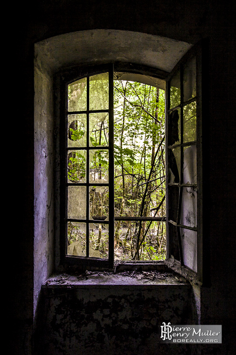 Fenêtre avec végétation au Fort du Haut Buc