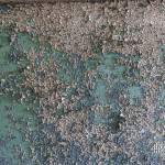 Texture de peinture écaillée verte sur un mur