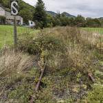 Ligne ferroviaire abandonnée Pau-Canfranc avec signalisation et végétation