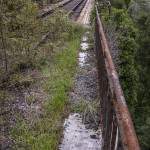 Végétation reprenant possession d'un pont abandonné de la ligne Pau-Canfranc