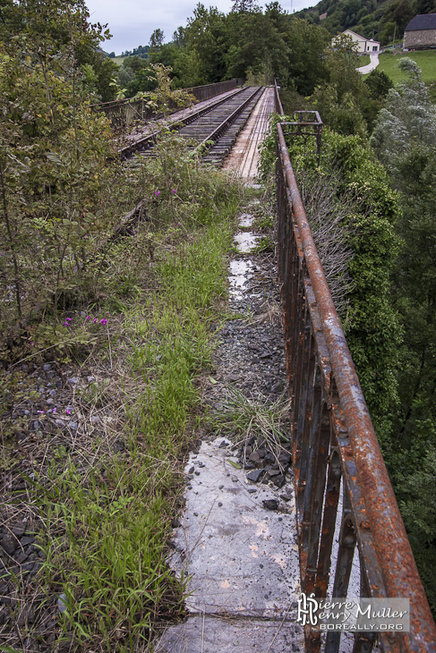 Végétation reprenant possession d'un pont abandonné de la ligne Pau-Canfranc