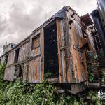 Wagon marchandise abandonné reprit par la végétation en HDR