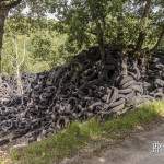Végétation recouverte par la montagne de pneus