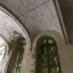 Voutes et lierre grimpant au mur au monastère de Mechelen