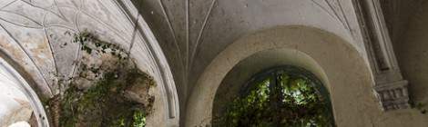 ...Voutes et lierre grimpant au mur au monastère de Mechelen...