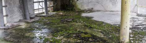 ...Du aux infiltrations d&rsquo;eau de pluie, le sol est jonch&eacute; de moisissures et autres mousses....