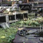 Atelier mécanique abandonné reprit par la nature dans l'usine SAFEA