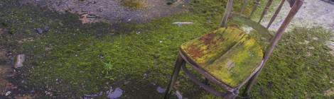 ...Cette chaise tente de passer incognito en se parant d&rsquo;un camouflage vert comme le sol rempli de mousse....