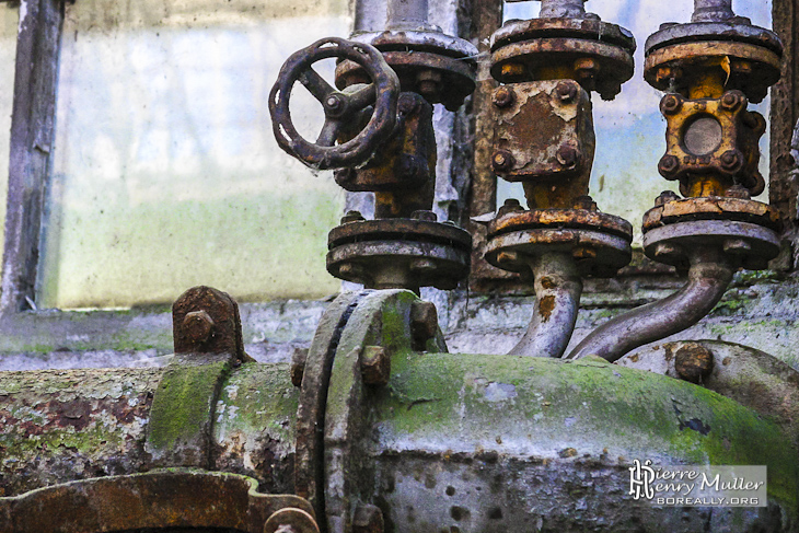 Dégradé de couleur entre la rouille et la mousse sur ces canalisations à l'usine SAFEA