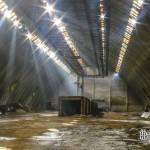 Hangar de stockage avec rayons lumineux du soleil à SAFEA