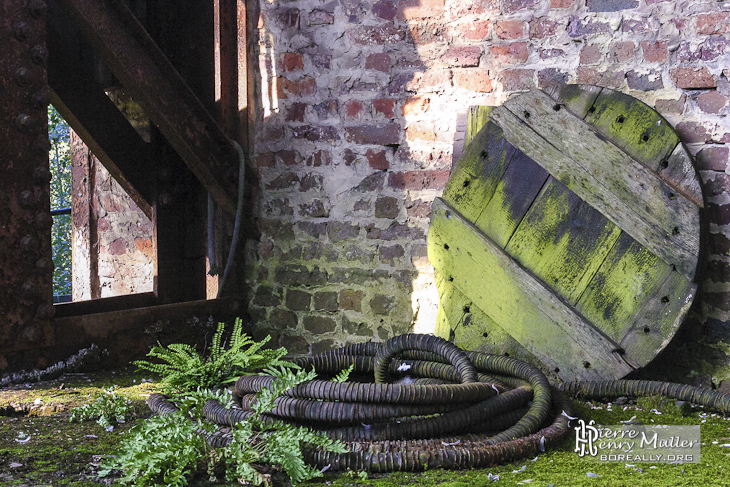 Mélange de végétation et d'industriel à l'usine SAFEA