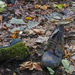 Mousse envahissant une paire de chaussure abandonnée sur un lit de végétation SAFEA