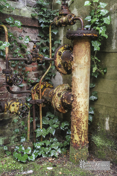 La nature reprend ses droits autour de ce système hydraulique rouillé à SAFEA