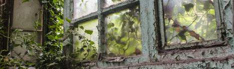 ...Le lierre est en train d&rsquo;entrer dans cette pi&egrave;ce par la fen&ecirc;tre de la friche industrielle SAFEA...