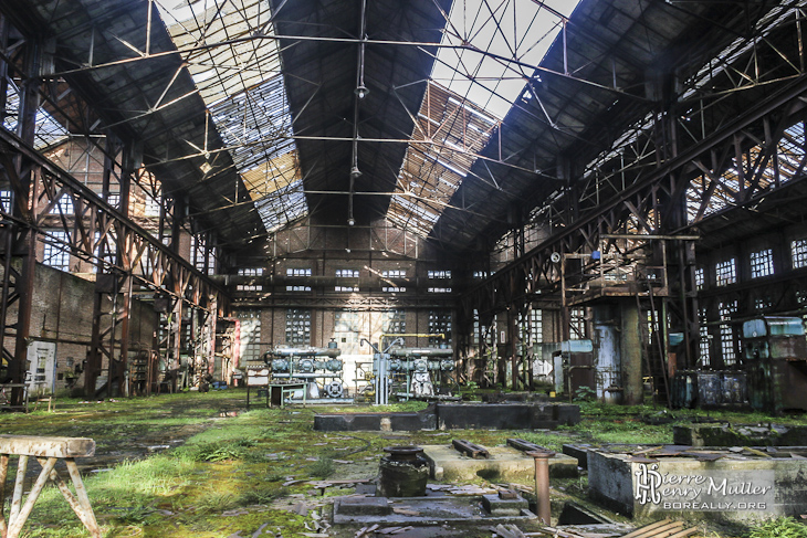 Vue d'ensemble d'un hangar de l'usine SAFEA