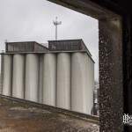 Bâtiments de séchage moderne du houblon sur plusieurs niveaux
