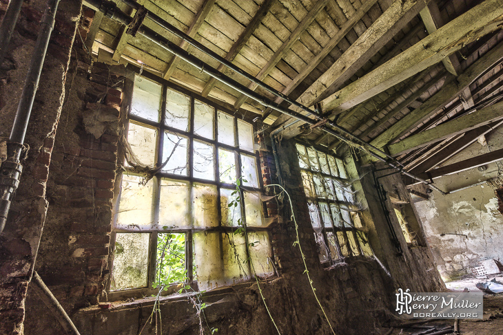 Vitres d'un atelier de tannerie à Graulhet